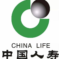 中国人寿保险股份有限公司陆河支公司